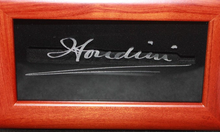 Load image into Gallery viewer, Houdini House Pen