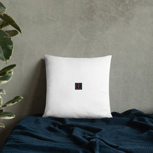 Load image into Gallery viewer, Houdini Pillow