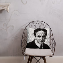 Load image into Gallery viewer, Houdini Pillow