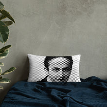 Load image into Gallery viewer, Houdini Pillow