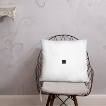Load image into Gallery viewer, Houdini Pillow