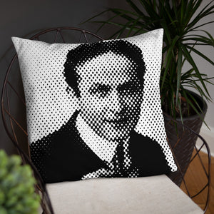 Houdini Pillow