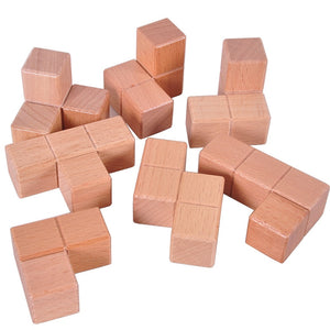 Mystery Wooden Puzzle